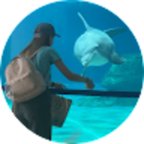 dolphinmacy05